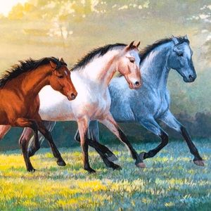 HORSES Set of 6 Blank Note Cards & Envelopes NEW